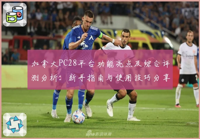 加拿大PC28平台功能亮点及综合评测分析：新手指南与使用技巧分享