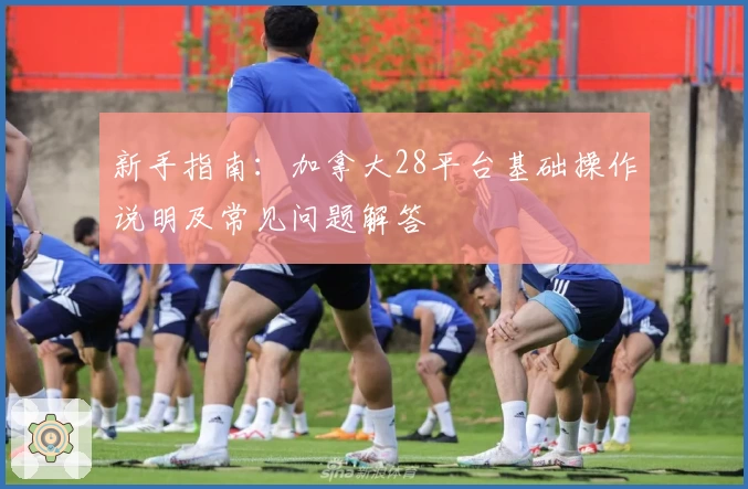 新手指南:加拿大28平台基础操作说明及常见问题解答