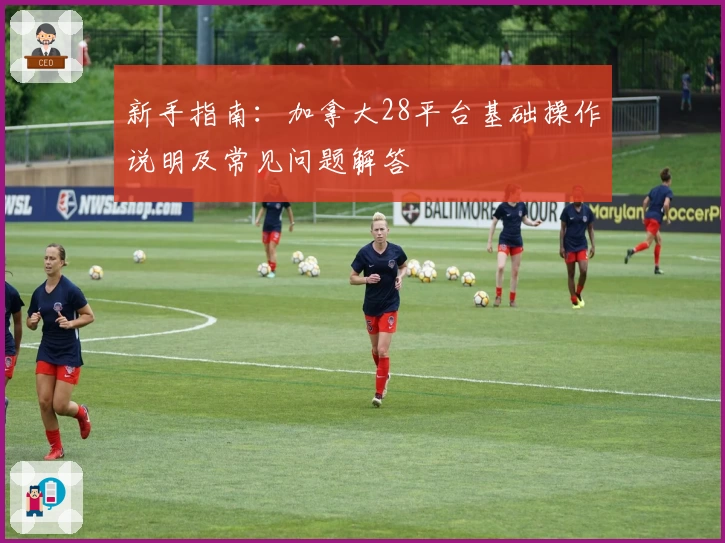 新手指南：加拿大28平台基础操作说明及常见问题解答