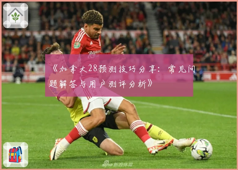 《加拿大28预测技巧分享:常见问题解答与用户测评分析》