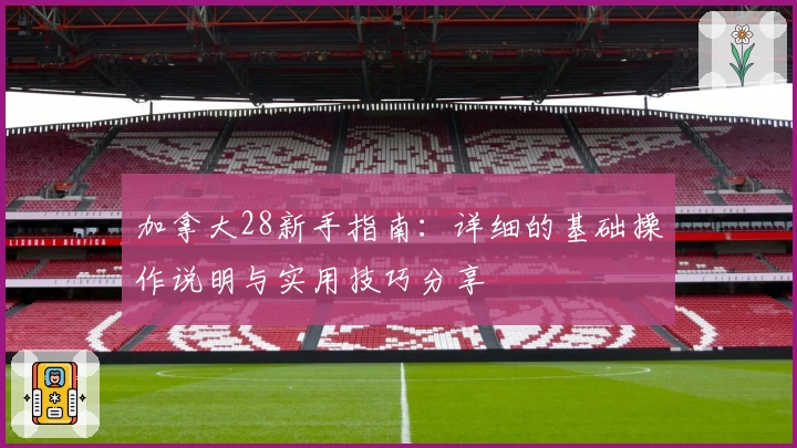 加拿大28新手指南：详细的基础操作说明与实用技巧分享