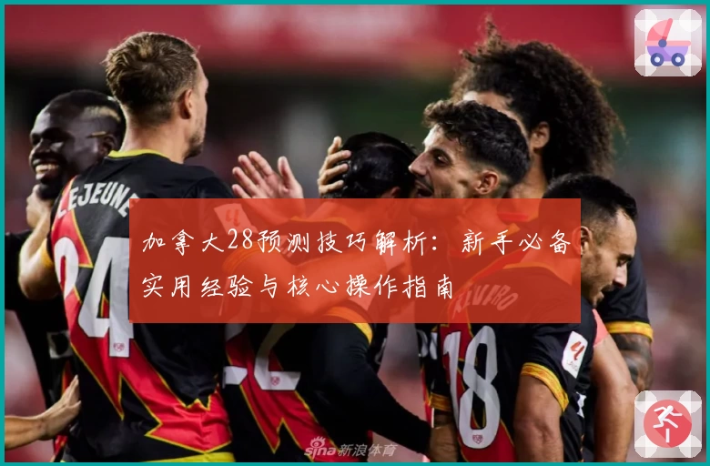 加拿大28预测技巧解析：新手必备实用经验与核心操作指南