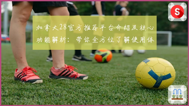 加拿大28官方推荐平台介绍及核心功能解析：带你全方位了解使用体验