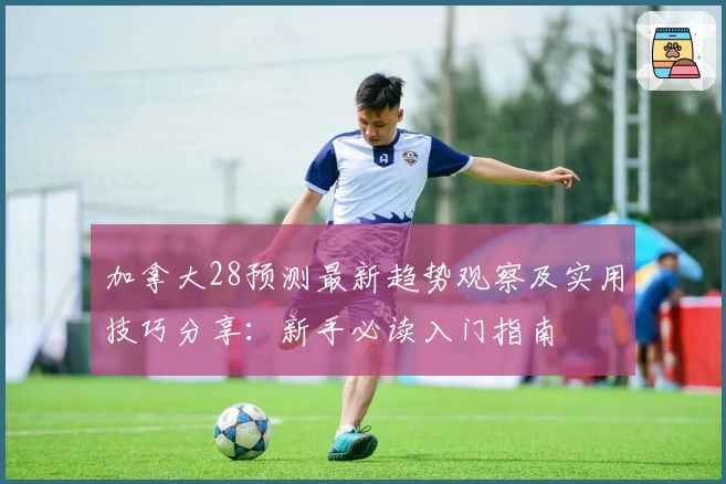 加拿大28预测最新趋势观察及实用技巧分享：新手必读入门指南