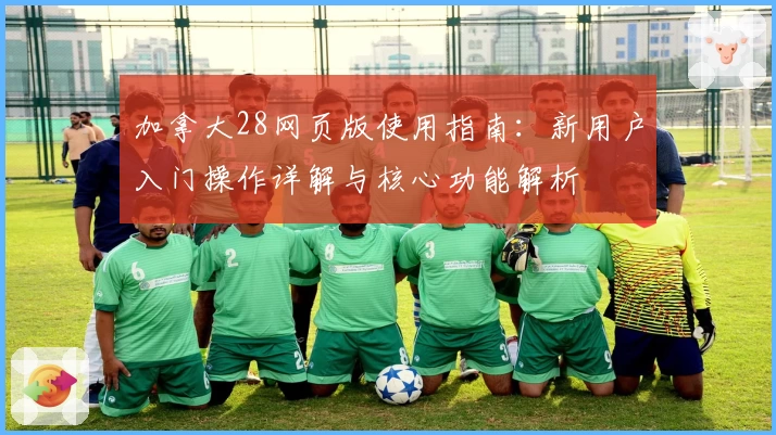 加拿大28网页版使用指南：新用户入门操作详解与核心功能解析