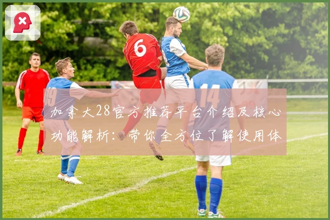 加拿大28官方推荐平台介绍及核心功能解析：带你全方位了解使用体验