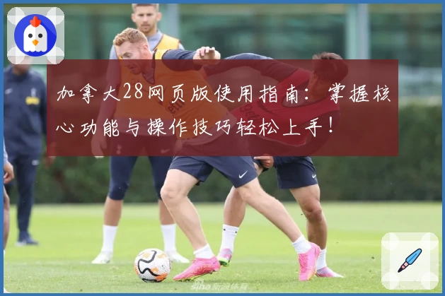 加拿大28网页版使用指南：掌握核心功能与操作技巧轻松上手！